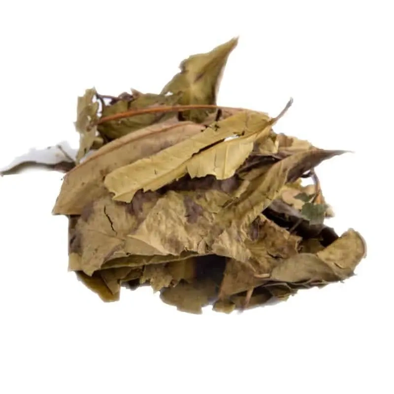 Daun Salam Bakje 7gram